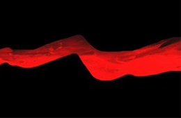 行業(yè)丨速凍食品新國家標(biāo)準(zhǔn)正式實(shí)施，這些“紅線”要注意了！