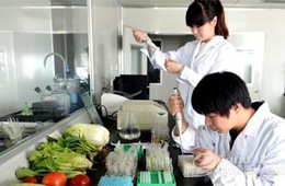 做研發一年花6838萬，安井“砸錢”氣勢直逼雙匯