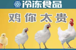 量價齊升，養(yǎng)白羽肉雞咋還虧了？