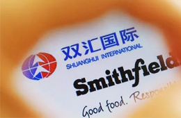 增收不增利，雙匯發(fā)展如何應(yīng)對(duì)“二師兄”漲價(jià)