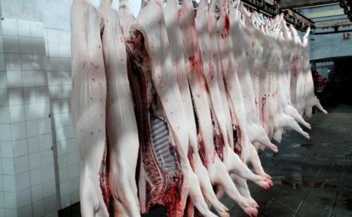 視頻丨嚴(yán)、精、快、準(zhǔn)！正大集團(tuán)的豬肉屠宰加工流程
