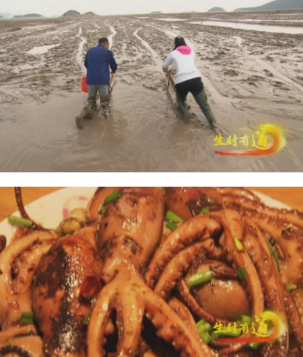 1589264997671529.png D0%FLP$QGQO~N)UQBMX4R~4.png