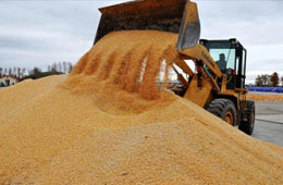  疫情全球肆虐，為什么我國不會出現糧食危機?