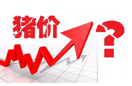 豬價又“變臉”，新一波漲勢來了？農業農村部：或持續到元旦春節