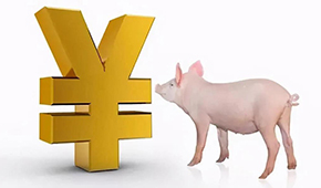 誰是國內養豬第一大??？