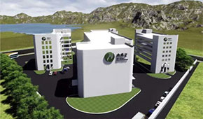 植物肉風(fēng)口下的“黑馬”，三全、思念都選它