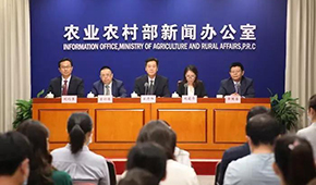 豬價(jià)下跌豬企承壓，有企業(yè)半年預(yù)虧34.5億，國(guó)家第三次出手收儲(chǔ)