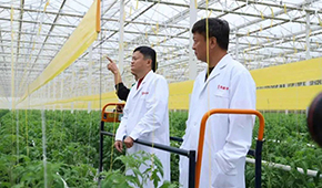 馬家廚房？馬家秘制老鴨煲？馬云的“假動(dòng)作”為何讓市場(chǎng)興奮？