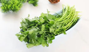 香菜餅、香菜丸、香菜油條、香菜小酥肉…香菜為啥這么“香”？