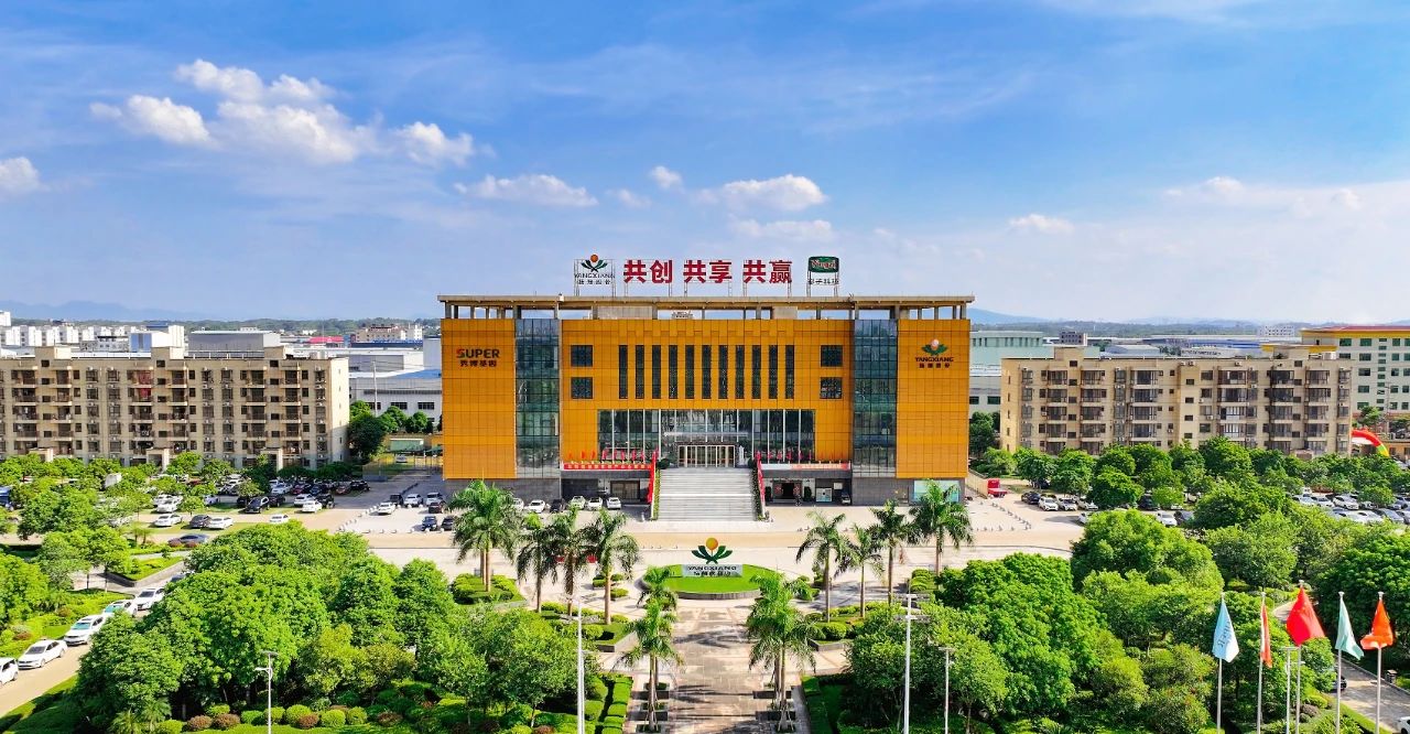 1731897077828997.jpg 1731897077828997.jpg