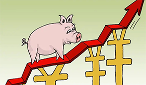 牧原、溫氏、新希望…業績大漲，扭虧為盈，豬企龍頭集體走出“至暗時刻”？