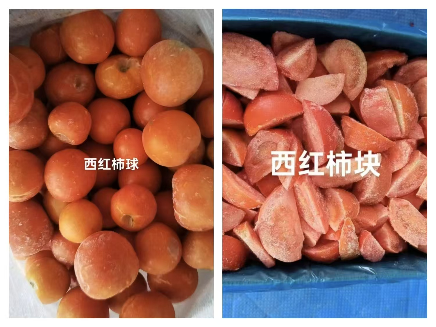 1744600360843159.png 1744600360843159.png