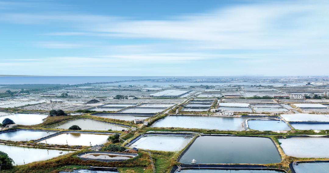 1749432034971882.png 1749432034971882.png