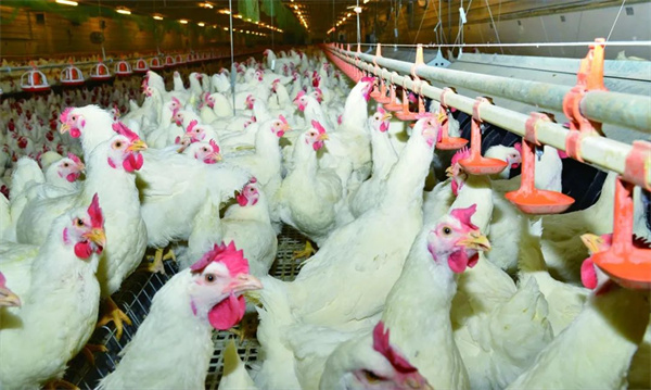 1753697194684955.jpg 微信圖片_2025-07-28_175628_491.jpg