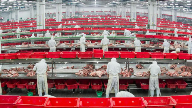 金鑼、郯潤、齊匯、瑞發(fā)德、喜姐炸串……山東臨沂“食力派”全鏈發(fā)力、高質(zhì)躍升